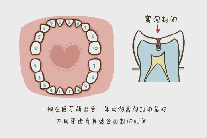 九个月大的宝宝磨牙现象解析