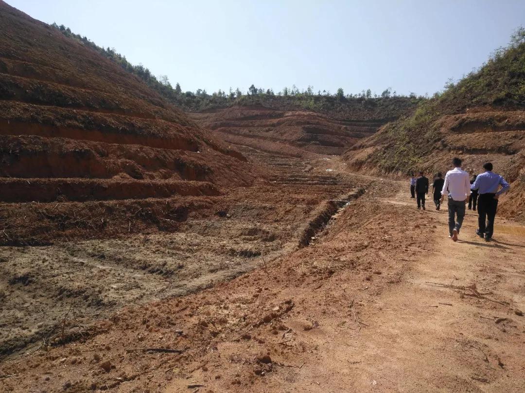 广东省林地租赁指南，探寻理想林地租赁地点