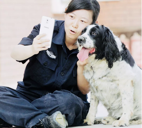 昆明犬的成长之旅，与四个月的萌犬共度时光