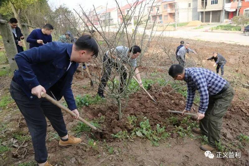 监利县房产网，连接人与房，构建美好家园