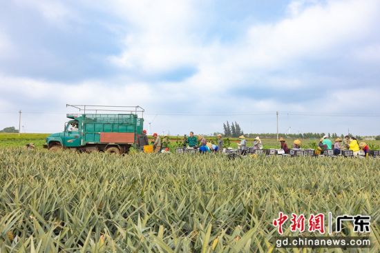 广东果田有限公司，繁荣果业的先锋力量