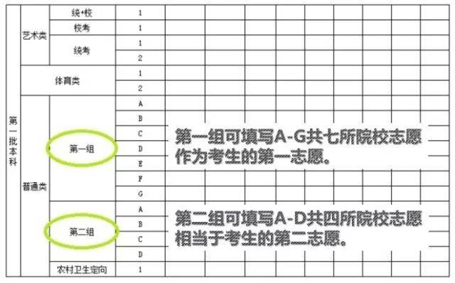 广东省二本线分数线的深度解读与影响分析