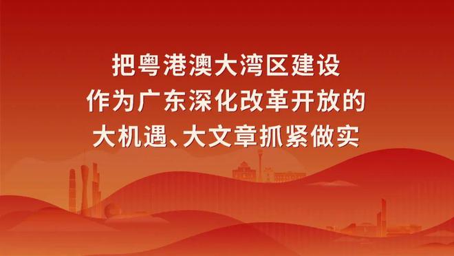 广东省盐业改革最新消息，迈向高质量发展的关键步伐